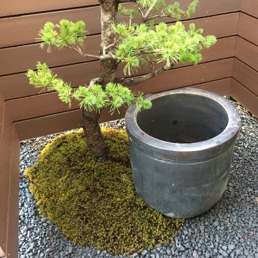 富士市：山本邸「家の “歴史” を感じることができるお庭のご提案。」